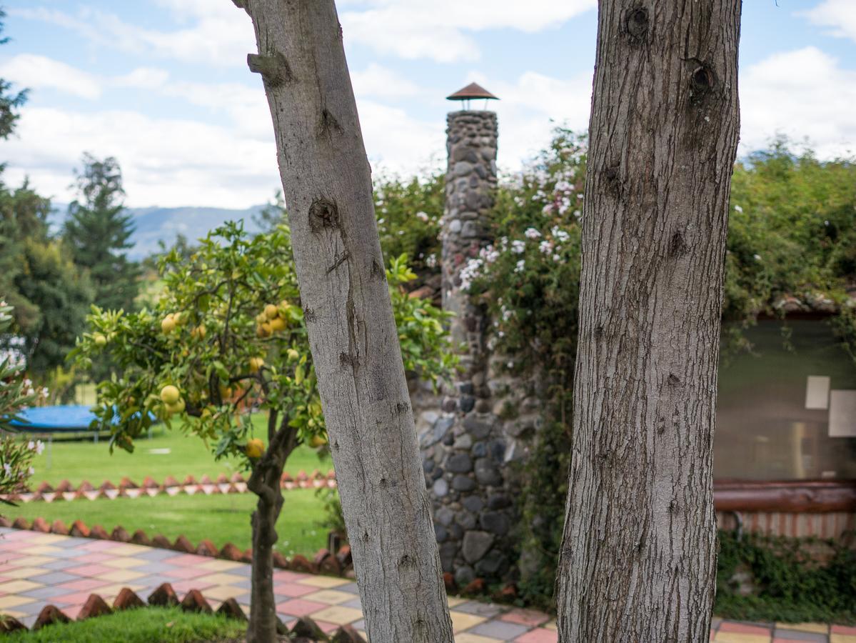 Zaysant Ecolodge Puembo Dış mekan fotoğraf