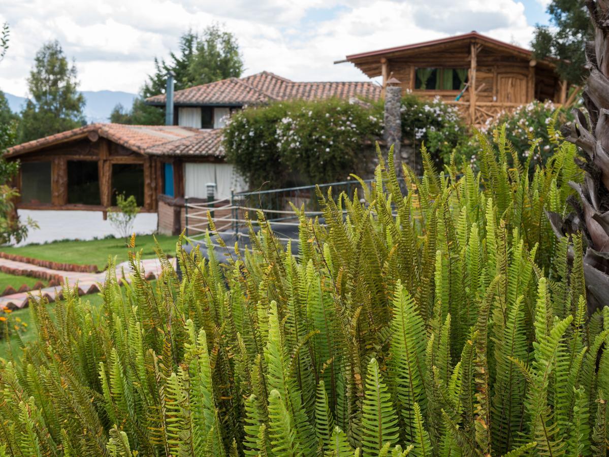 Zaysant Ecolodge Puembo Dış mekan fotoğraf