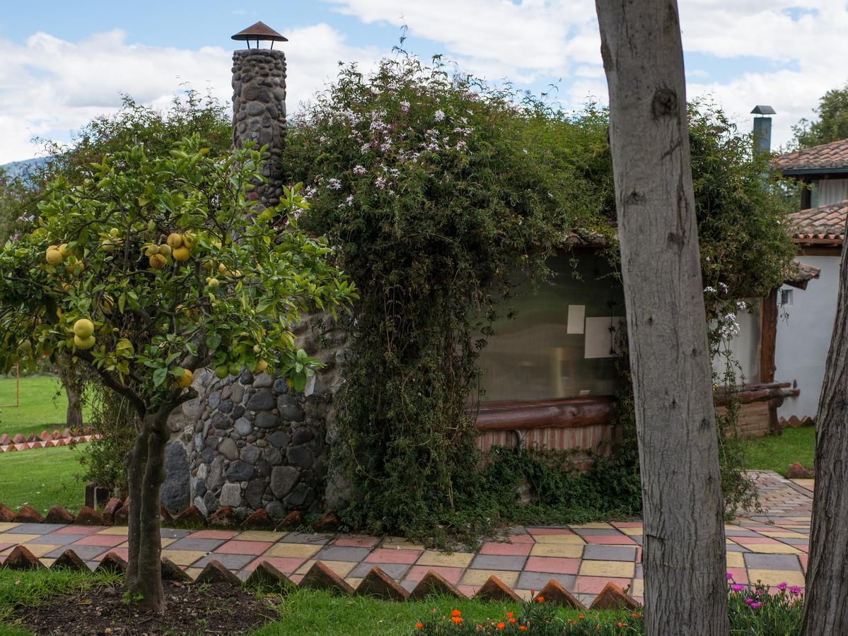 Zaysant Ecolodge Puembo Dış mekan fotoğraf
